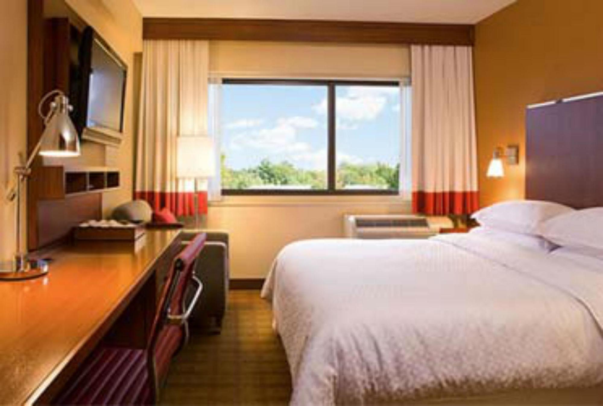 Four Points By Sheraton Punta Cana Phòng bức ảnh